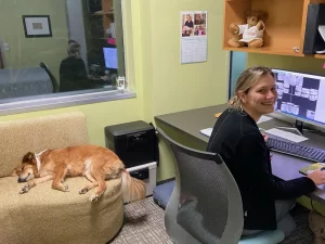 Emotional support dog in the office